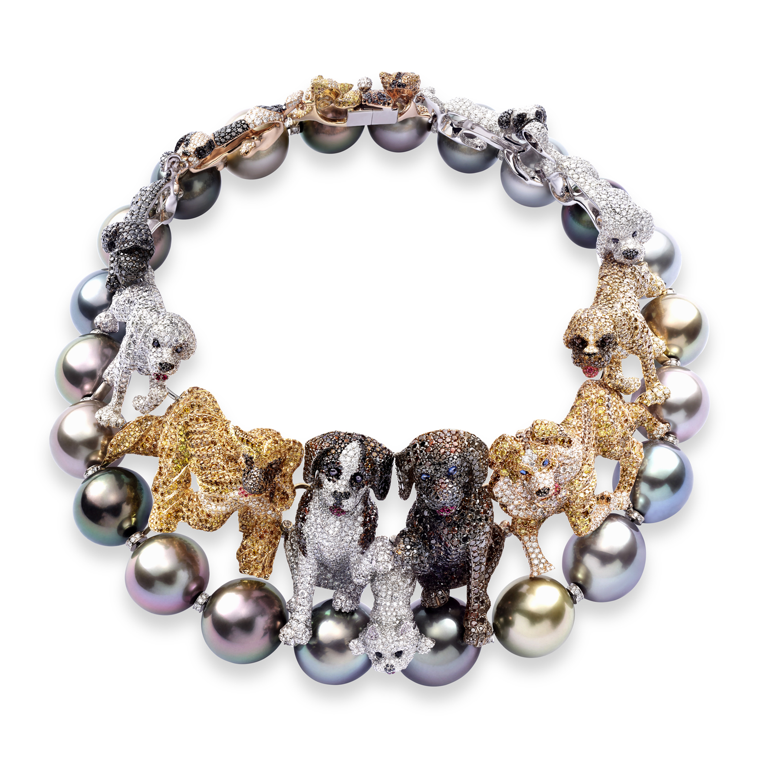 COLLIER DOGS